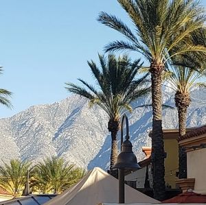 Meet your Posher, C edward